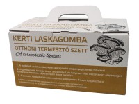 Kerti laskagomba 3 kg