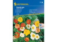 Kiepenkerl Vetőmagok Izlandi mák Pastell magkeverék