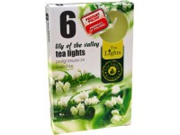 Teamécses illatos gyöngyvirág 6 db