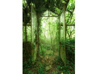 Komar vlies fotótapéta Greenhouse 200 cm x 250 cm