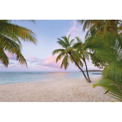 Komar nemszőtt fotótapéta  Paradise Morning 368 cm x 248 cm FSC