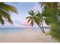 Komar nemszőtt fotótapéta  Paradise Morning 368 cm x 248 cm FSC