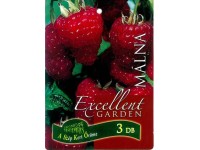 Gyökércsomagolt málna bogyós gyümölcsű növények