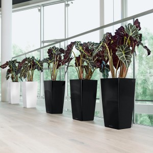 Lechuza Cubico Premium virágtartók sora, 50 cm, fekete és fehér, magasfényű, növényekkel.