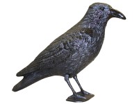 Swissinno galambriasztó holló Swissinno galambriasztó holló