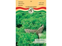 Tépősaláta sárga vetőmag Tépősaláta sárga vetőmag