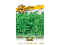 Bazsalikom keskeny levelű Bazsalikom keskeny levelű