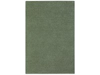 Szőnyeg Vital zöld 115 cm x 170 cm Szőnyeg Vital zöld 115 cm x 170 cm