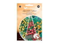 Venus aztek vilma paradicsom erkély 3db