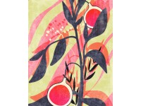 Komar vlies fotótapéta Bonbons aux fruits 200 cm x 250 cm Komar vlies fotótapéta Bonbons aux fruits 200 cm x 250 cm