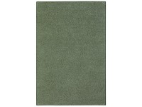 Szőnyeg Vital zöld 160 cm x 230 cm Szőnyeg Vital zöld 160 cm x 230 cm