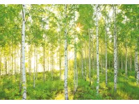 Komar fotótapéta Sunday 368 cm x 254 cm