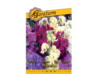 Kerti viola színkev. vetőmag