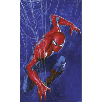 Komar nemszőtt fotótapéta Marvel Spider-Man Spider Web kék-piros