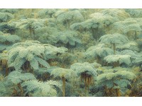 Komar Jungle Lands fátyoltapéta 400 cm x 250 cm