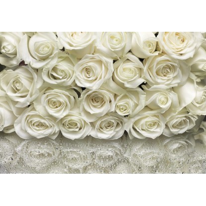 Komar fotótapéta A la Rose 368 cm x 254 cm