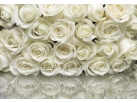Komar fotótapéta A la Rose 368 cm x 254 cm Komar fotótapéta A la Rose 368 cm x 254 cm