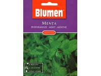 Blumen Menta Blumen Menta