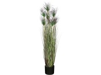 Mica Decorations macskafű cserépben ibolyaszínű 115 cm átmérő 30 cm Mica Decorations macskafű cserépben ibolyaszínű 115 cm átmérő 30 cm
