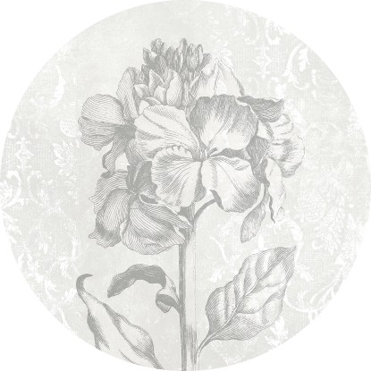 Komar vlies fotótapéta Barock Beauty öntapadós 125 cm