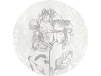 Komar vlies fotótapéta Barock Beauty öntapadós 125 cm