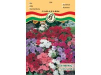 Lángvirág színkev. vetőmag