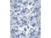 Komar vlies fotótapéta Orchidée 200 cm x 250 cm Komar vlies fotótapéta Orchidée 200 cm x 250 cm