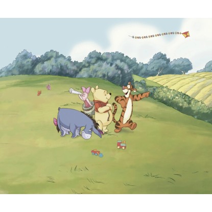 Komar nemszőtt fotótapéta Disney Winnie the Pooh Adventure színes