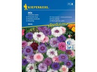 Kiepenkerl vetőmag búzavirág színkeverék Kiepenkerl vetőmag búzavirág színkeverék