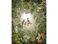 Komar vlies tapéta Wildlife Birds 200 cm x 250 cm