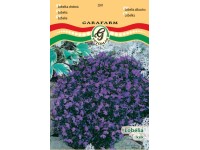 Lobéla kék vetőmag