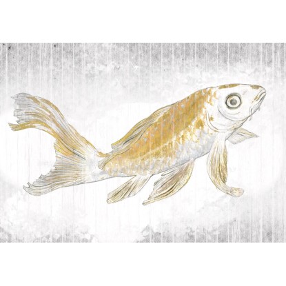Komar vlies fotótapéta Golden Koi 400 cm x 280 cm