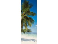 Komar nemszőtt fotótapéta Coconut Bay 100 cm x 280 cm