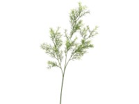 Dekor aszparáguszág zöld 70 cm