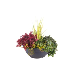 Fall in Love őszi tálkeverék szürke tálban, kb. 19 cm Ø, télálló őszi növényekkel.