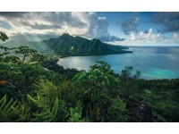 Vlies fotótapéta Jurassic Island 450 cm x 280 cm