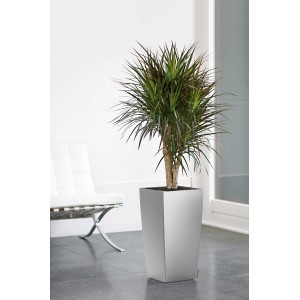Lechuza Cubico Premium virágtartó, 22 cm, ezüst metál zöld növénnyel.