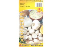 Fokhagyma dughagyma 3 db makói Fokhagyma dughagyma 3 db makói