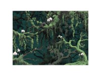 Komar fátyoltapéta Orch-Idee 350 cm x 250 cm zöld