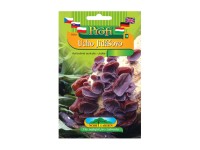 Júdásfüle gomba Júdásfüle gomba