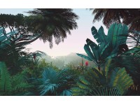 Komar vlies fotótapéta Jungle Morning 400 cm x 250 cm Komar vlies fotótapéta Jungle Morning 400 cm x 250 cm