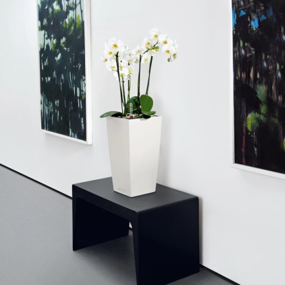 Fehér Lechuza Cubico Color 22 virágtartó orchideával egy fekete asztalon.