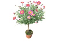 Margaréta fa színes 14 cm