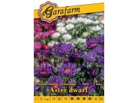 Őszirózsa törpe szk vetőmag