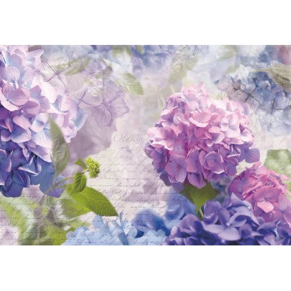 Komar fotótapéta Otaksa 368 cm x 254 cm FSC
