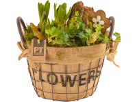 Kompozíció különböző tavaszi virágokkal vaskosárban cserépátmérő: kb. 25 cm