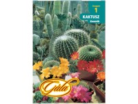 Kaktusz keverék  gála 1