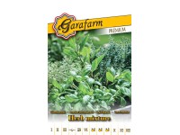 Balkon fűszerkeverék Balkon fűszerkeverék