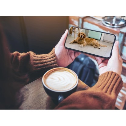 Személy élőben néz egy kutyát okostelefonon a Hama Smart WiFi 1080p WLAN kamerával.