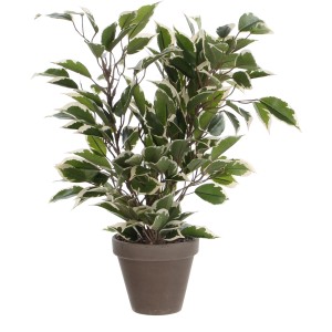 Mica Decorations mű Ficus Natasja növény, zöld-fehér levelekkel cserépben, 40 cm magas.